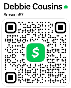 Cash-App