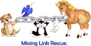 Missing Link Rescue